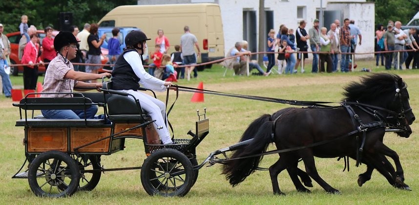 Ponyfest in W&uuml;lfingerode