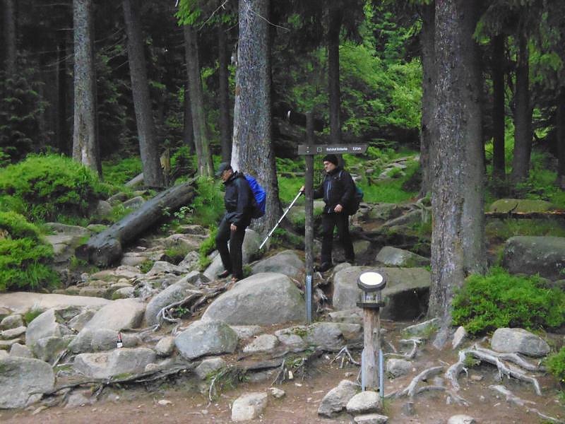 Harzwanderung in der Dunkelheit