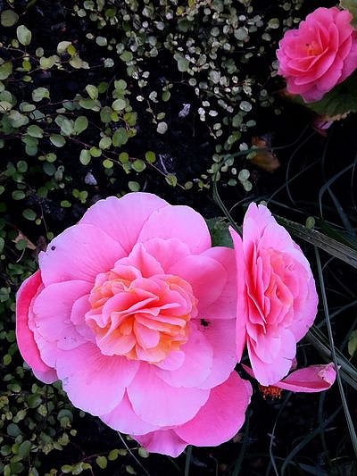 Nach dem Spiel auf dem Berg