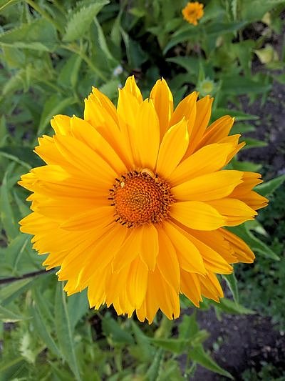 Nach dem Spiel auf dem Berg