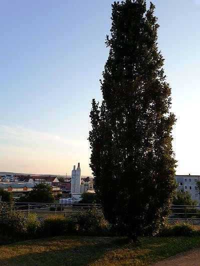 Nach dem Spiel auf dem Berg