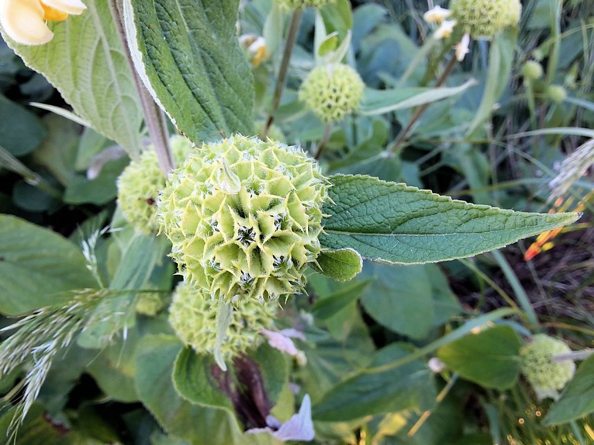 Nach dem Spiel auf dem Berg