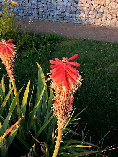 Nach dem Spiel auf dem Berg