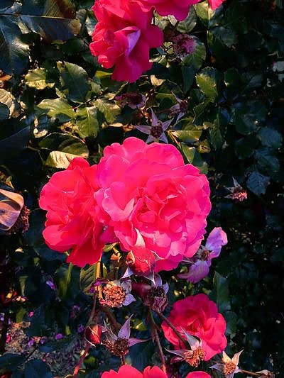 Nach dem Spiel auf dem Berg