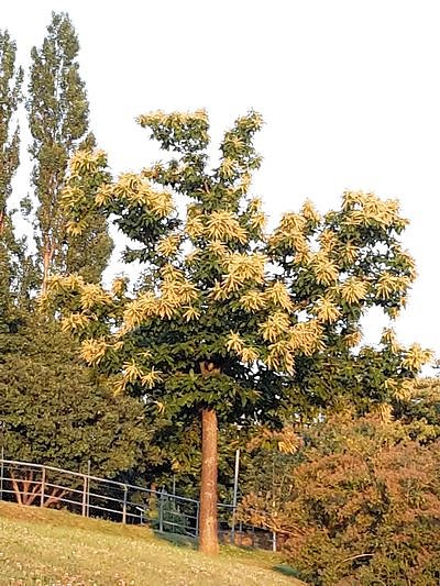 Nach dem Spiel auf dem Berg