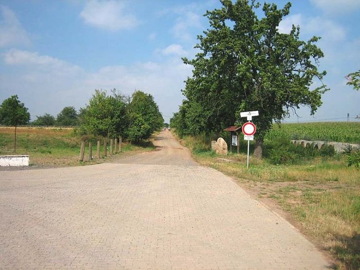 Die Schottervariante