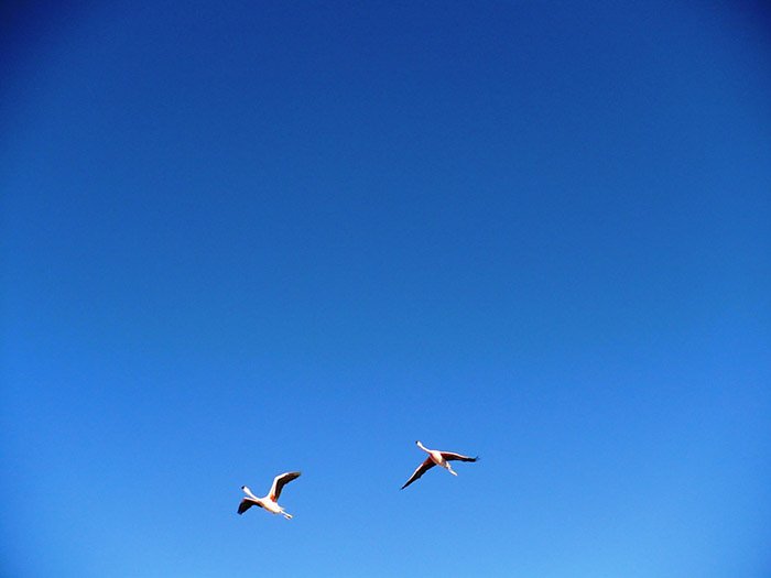 Im Mondtal S&uuml;damerikas