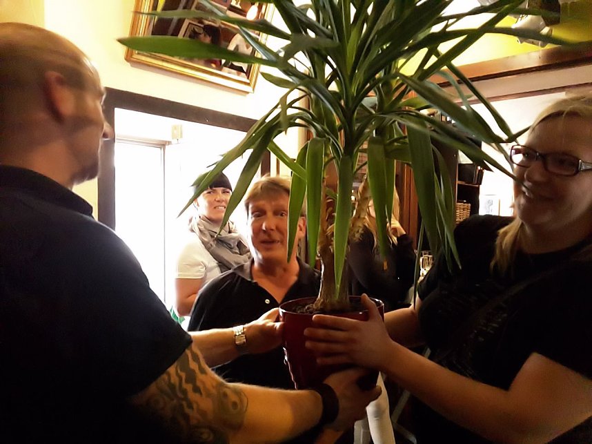 Neuer&ouml;ffnung im Stepel