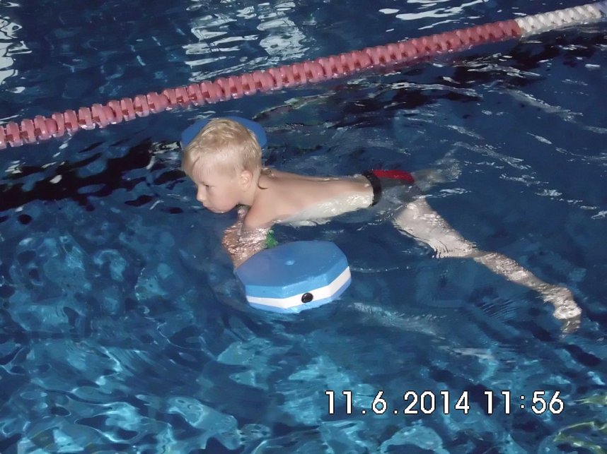 Seepferdchen f&uuml;r Heringer KITA-Kinder