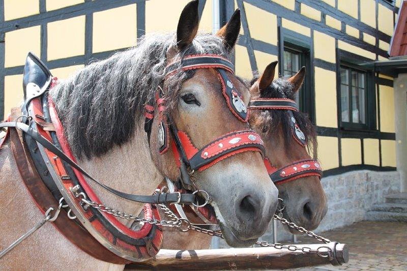 In Obergebra umgesehen