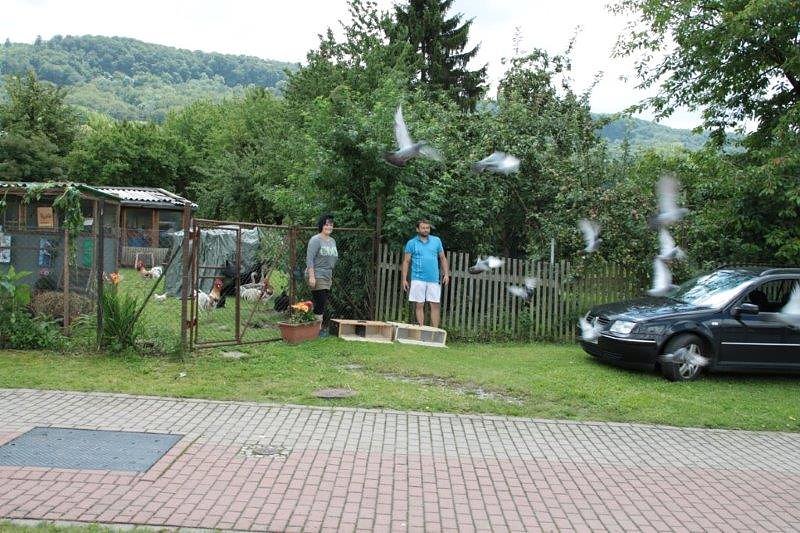 In Obergebra umgesehen