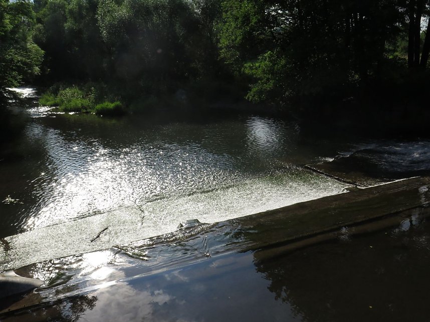 Geringer Pegel der Zorge - schlecht f&uuml;r Bachneunauge?