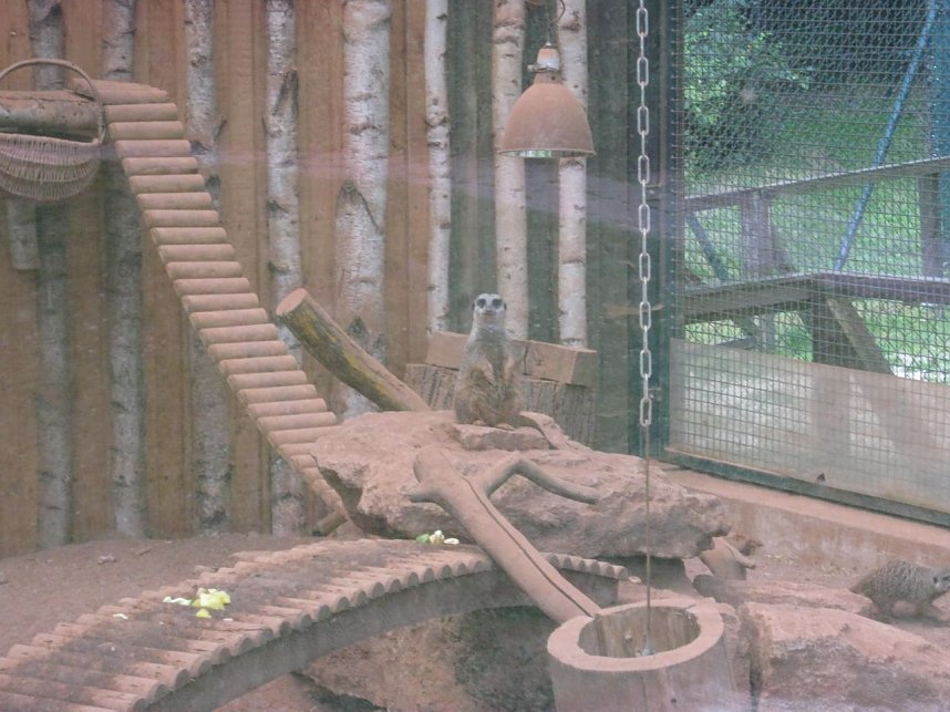 Schulausklang in Heringen