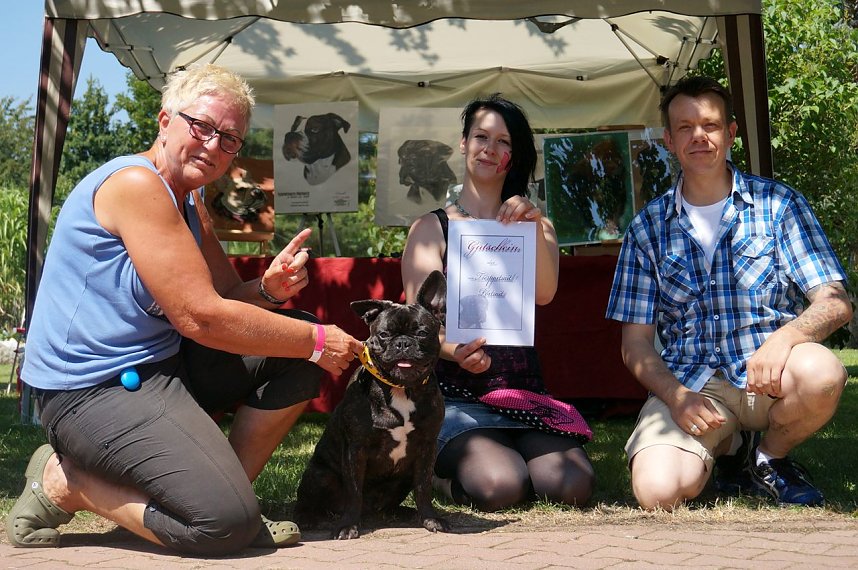 Bulldoggen aller L&auml;nder....