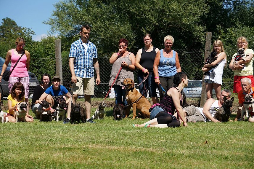 Bulldoggen aller L&auml;nder....