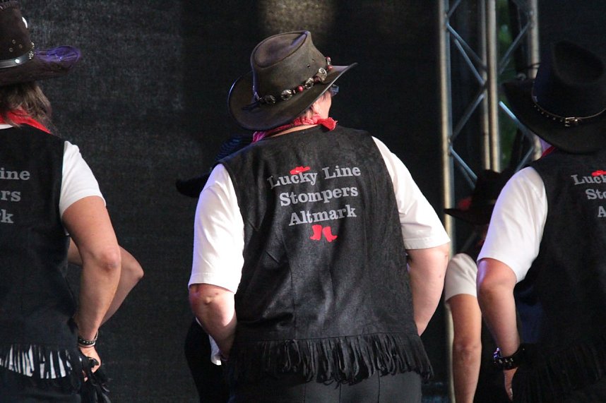 Sachsenanhalt-Tag in Wernigerode