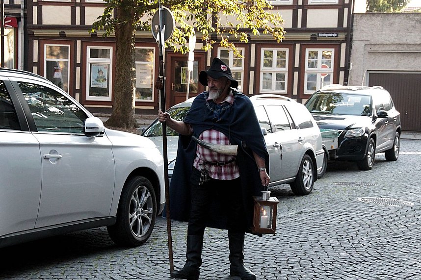 Sachsenanhalt-Tag in Wernigerode