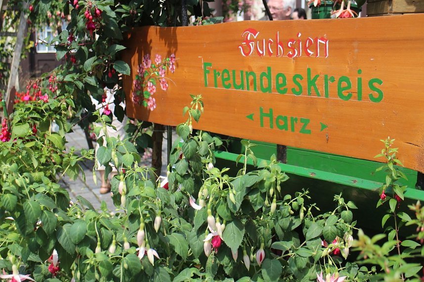 Volle Bl&uuml;tenpracht