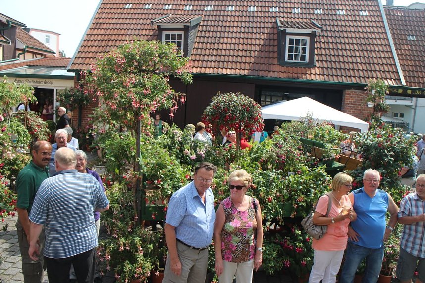 Volle Bl&uuml;tenpracht