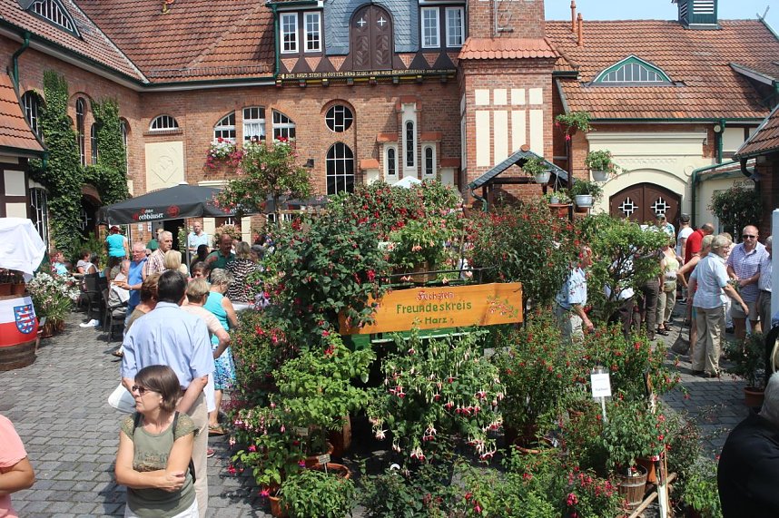 Volle Bl&uuml;tenpracht