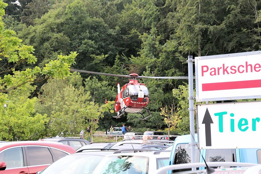Tierparkfest auf dem Hexentanzplatz