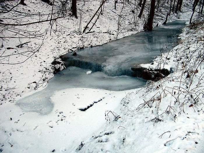 Winter im S&uuml;dharz