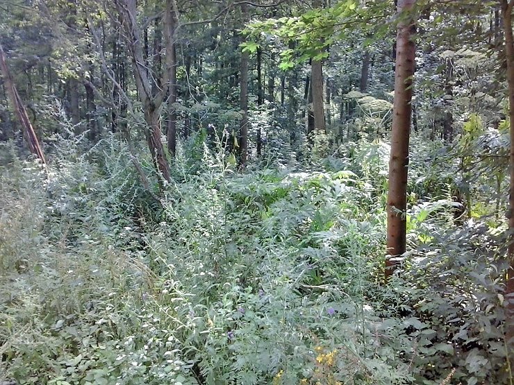 Aufpassen am Wanderweg