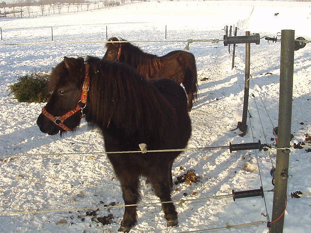 Winter in Mackenrode