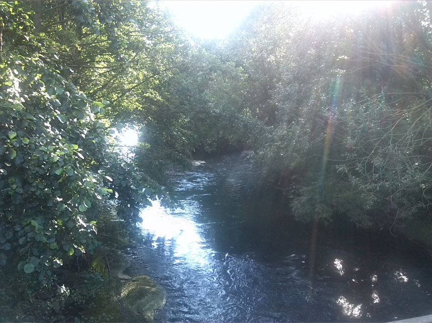 Mehr Schutz erforderlich