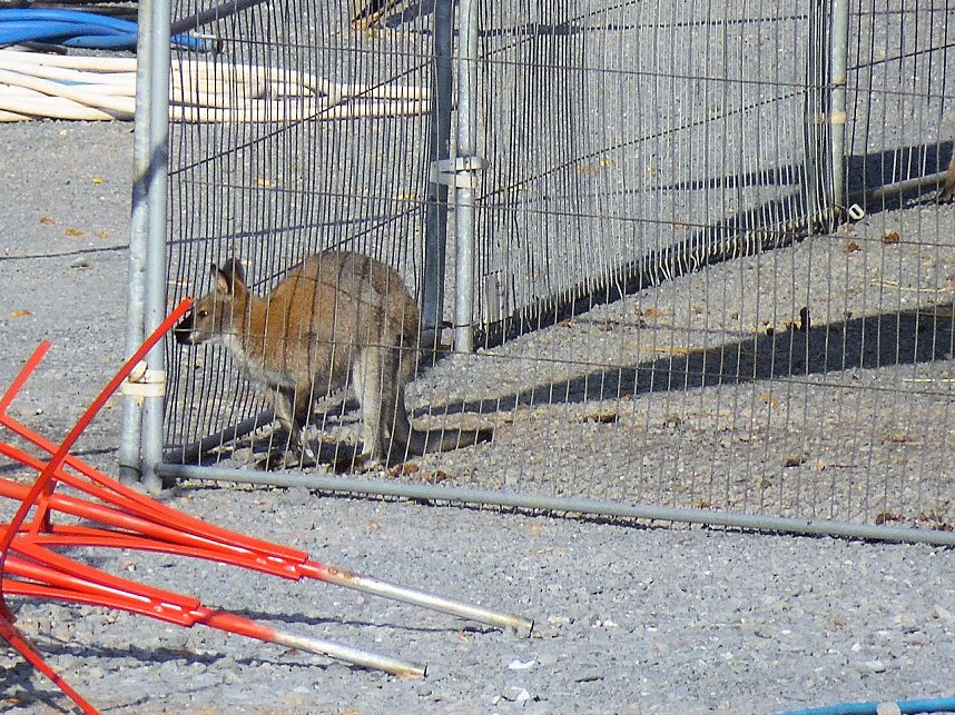 Letzte Vorbereitungen
