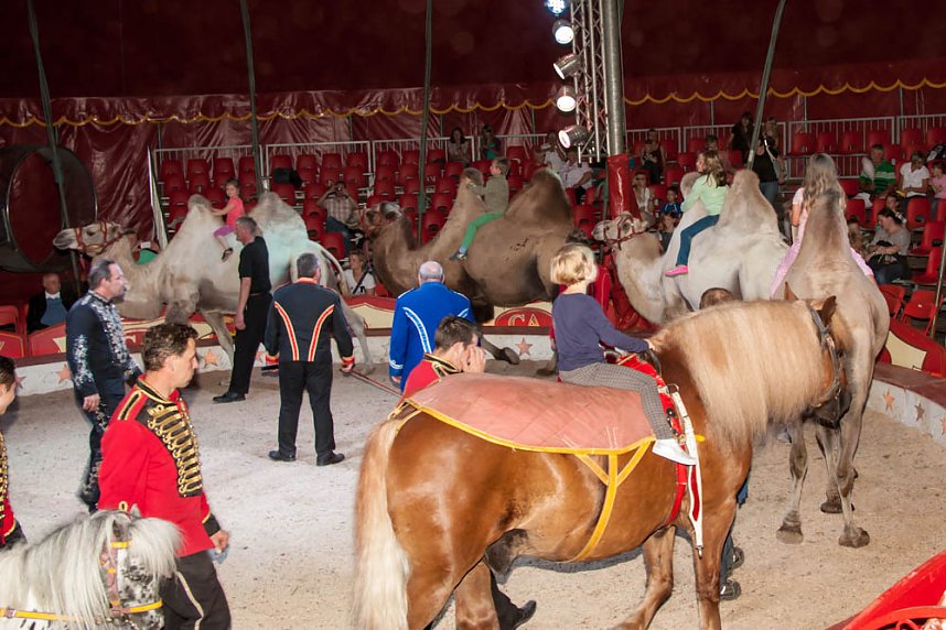 Besuch im Zirkus