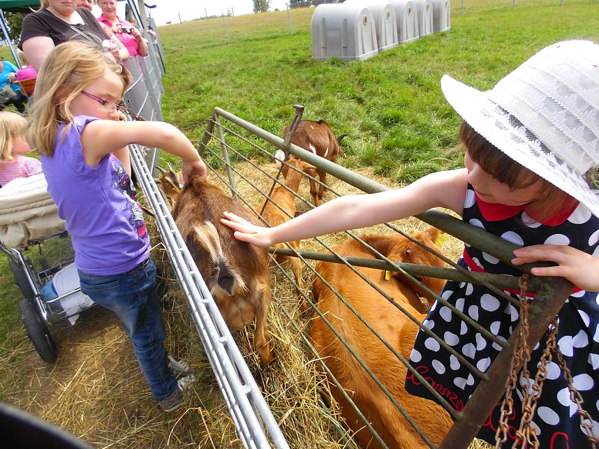 Knoblauchfest in Sophienhof