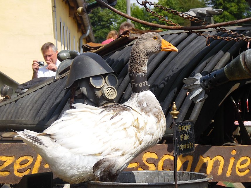 Knoblauchfest in Sophienhof