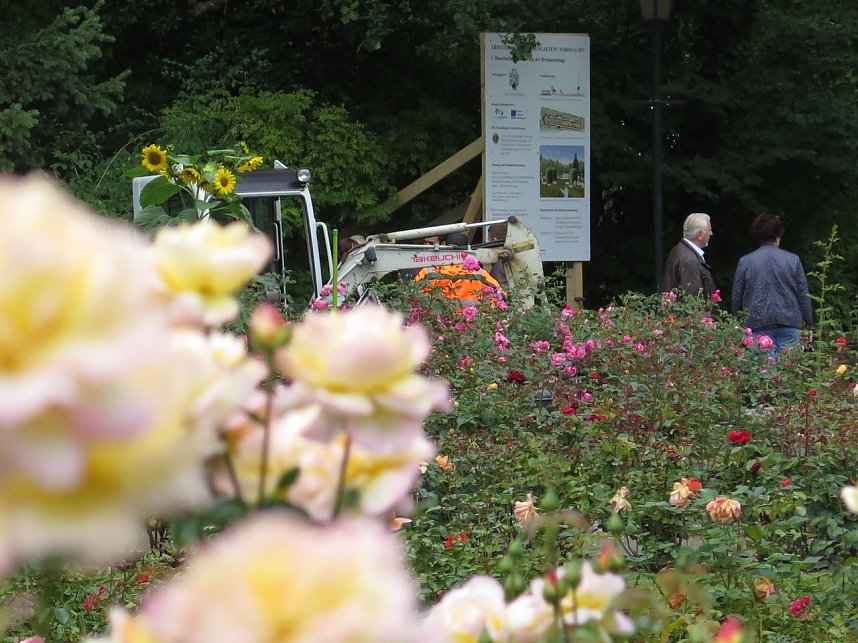 Ortstermin im Rosengarten