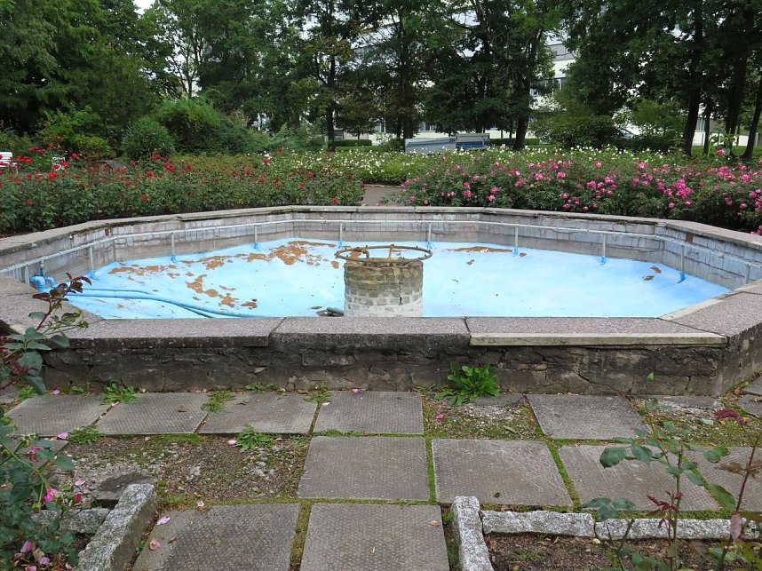 Ortstermin im Rosengarten