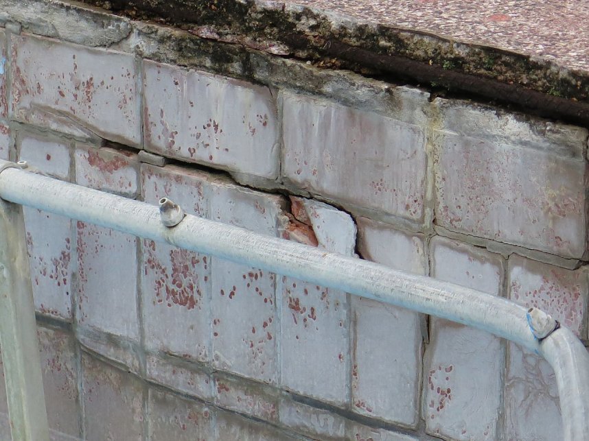 Ortstermin im Rosengarten