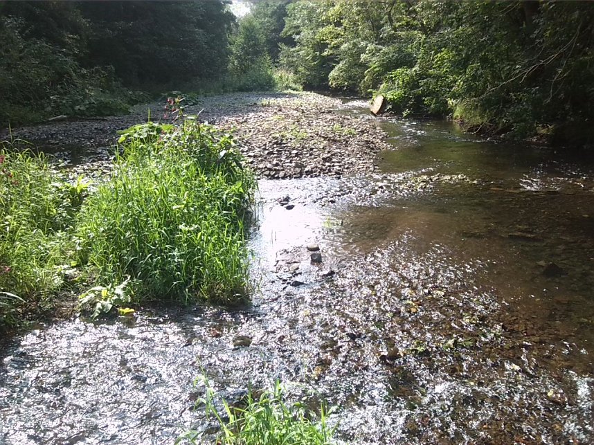 Exkursion entlang der Zorge