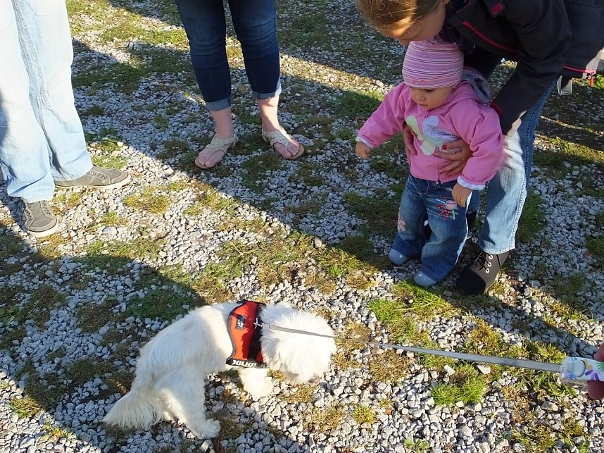 EVN-Party - der Abend