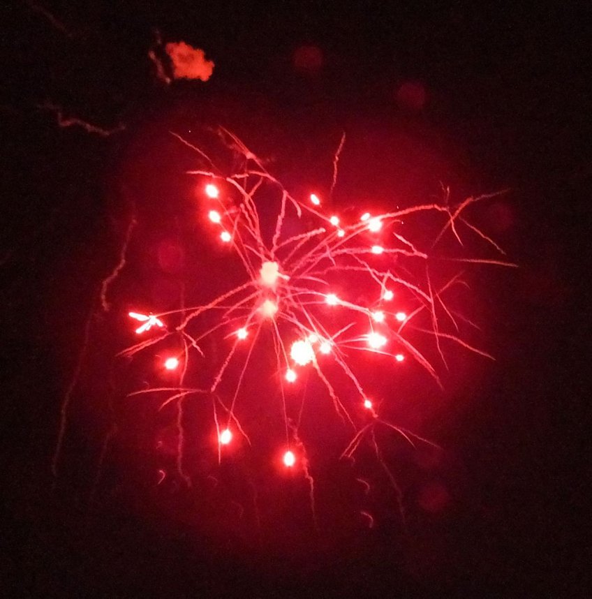 EVN-Party - der Abend