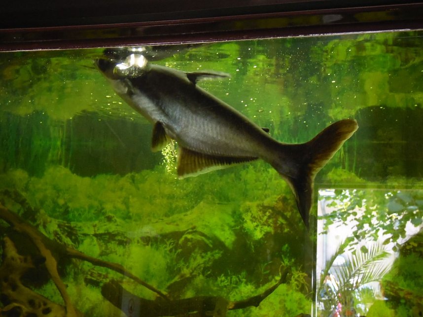 Besuch im Zoo von Aschersleben