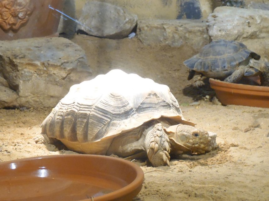 Besuch im Zoo von Aschersleben