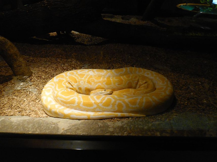 Besuch im Zoo von Aschersleben