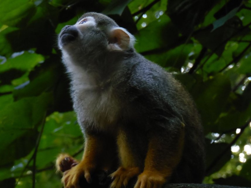 Besuch im Zoo von Aschersleben