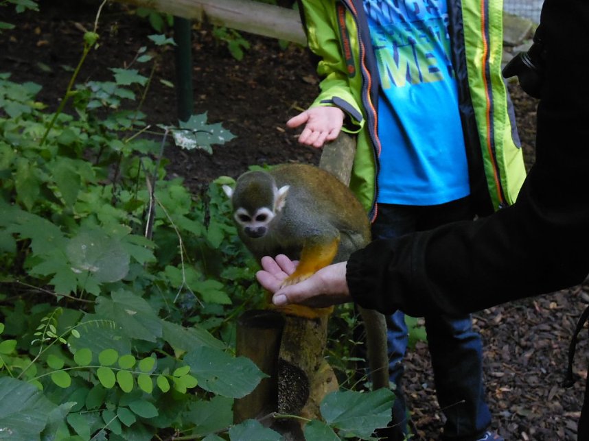 Besuch im Zoo von Aschersleben