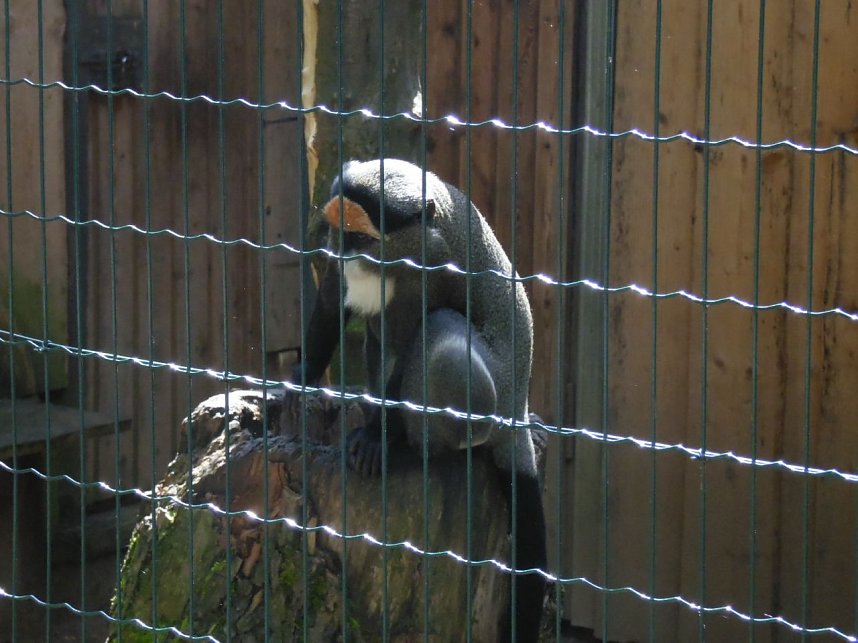 Besuch im Zoo von Aschersleben