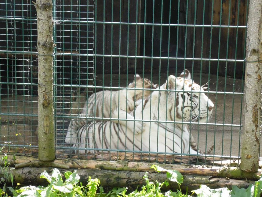 Besuch im Zoo von Aschersleben