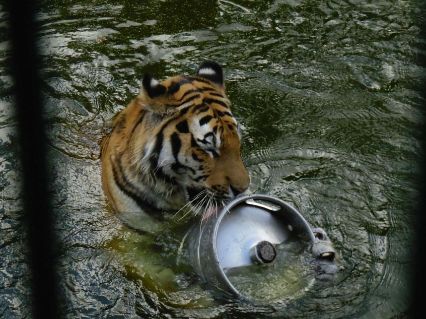 Besuch im Zoo von Aschersleben