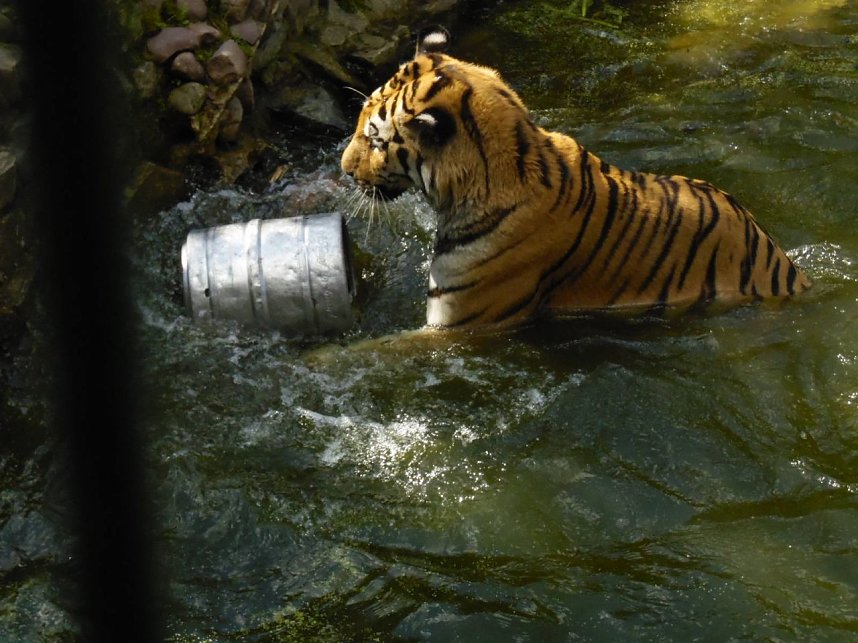 Besuch im Zoo von Aschersleben