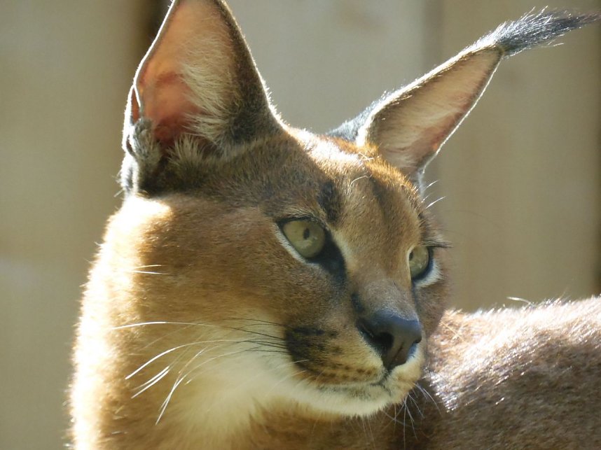 Besuch im Zoo von Aschersleben