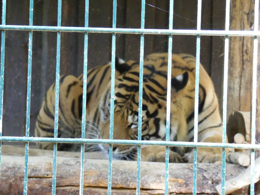 Besuch im Zoo von Aschersleben